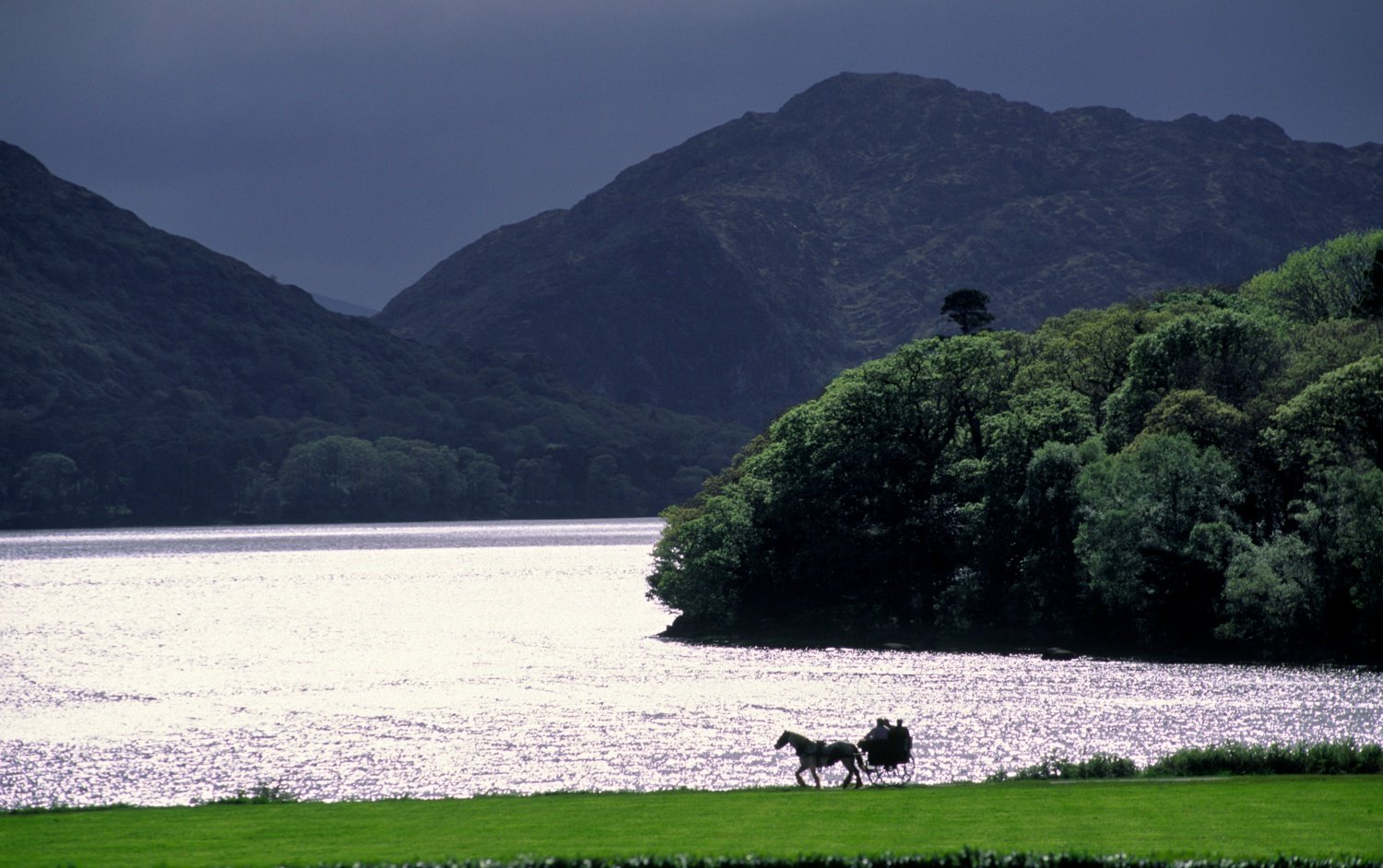 Jaunting car and Muckross Lake, Killarney National Park, Co Kerry, Ireland. Jaunting car and Muckross Lake, Killarney National Park, Co Kerry, Ireland.