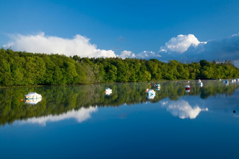 Morning reflections on the River Moy, Ballina, Co Mayo, Ireland.