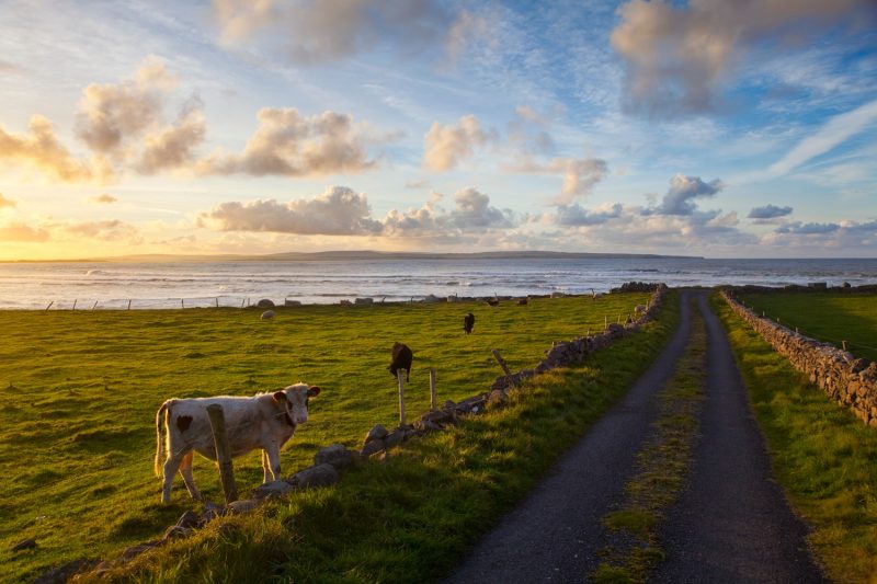 Summer evening on a coastal road, Co Sligo, Ireland.