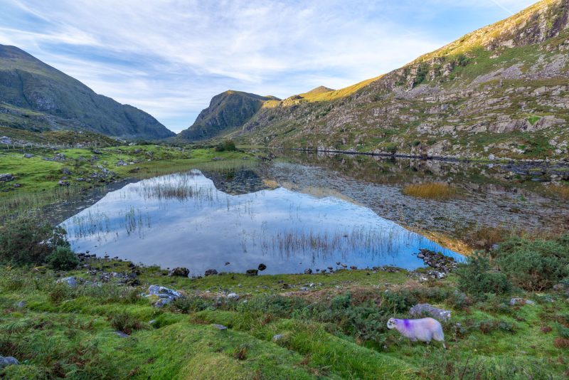 Gap of Dunloe, County Kerry, Ireland.
