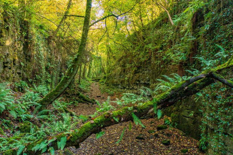 The Fairy Glen, County Sligo, Ireland.