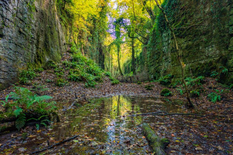 The Fairy Glen, County Sligo, Ireland.