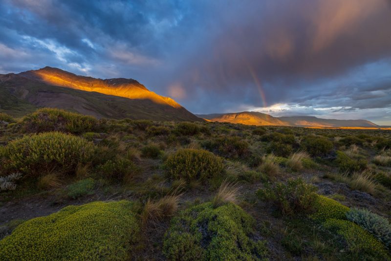 Arid landscape south of El Chalten, Patagonia, Argentina.