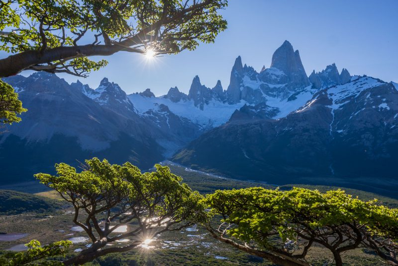 Monte Fitzroy seen through lenga trees, Los Glaciares National Park, Patagonia, Argentina.