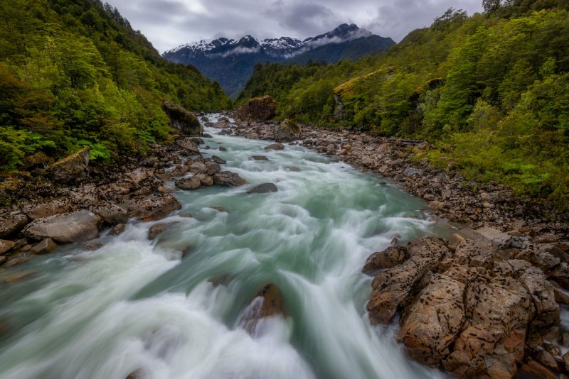 Rio Ventisqueros, Queulat National Park, Patagonia, Chile.