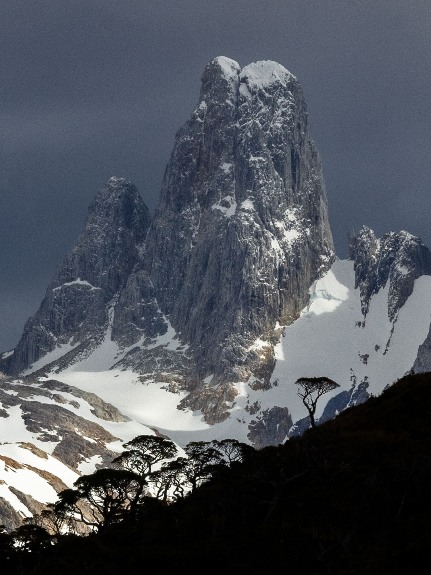 Grupo La Paz, Patagonian Fjords, Chile. Grupo La Paz, Patagonian Fjords, Chile.