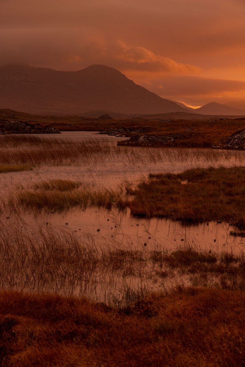 Sunrise on the bogs of Connemara, Connemara, Ireland.