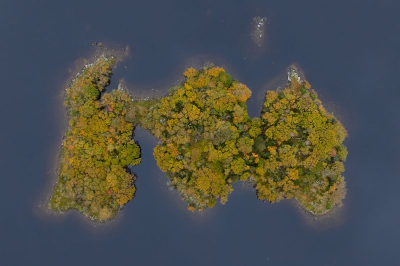 Island on Lough Inagh, Connemara, Ireland.