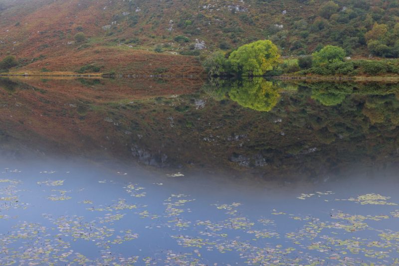 Gougane Barra, County Cork, Ireland.