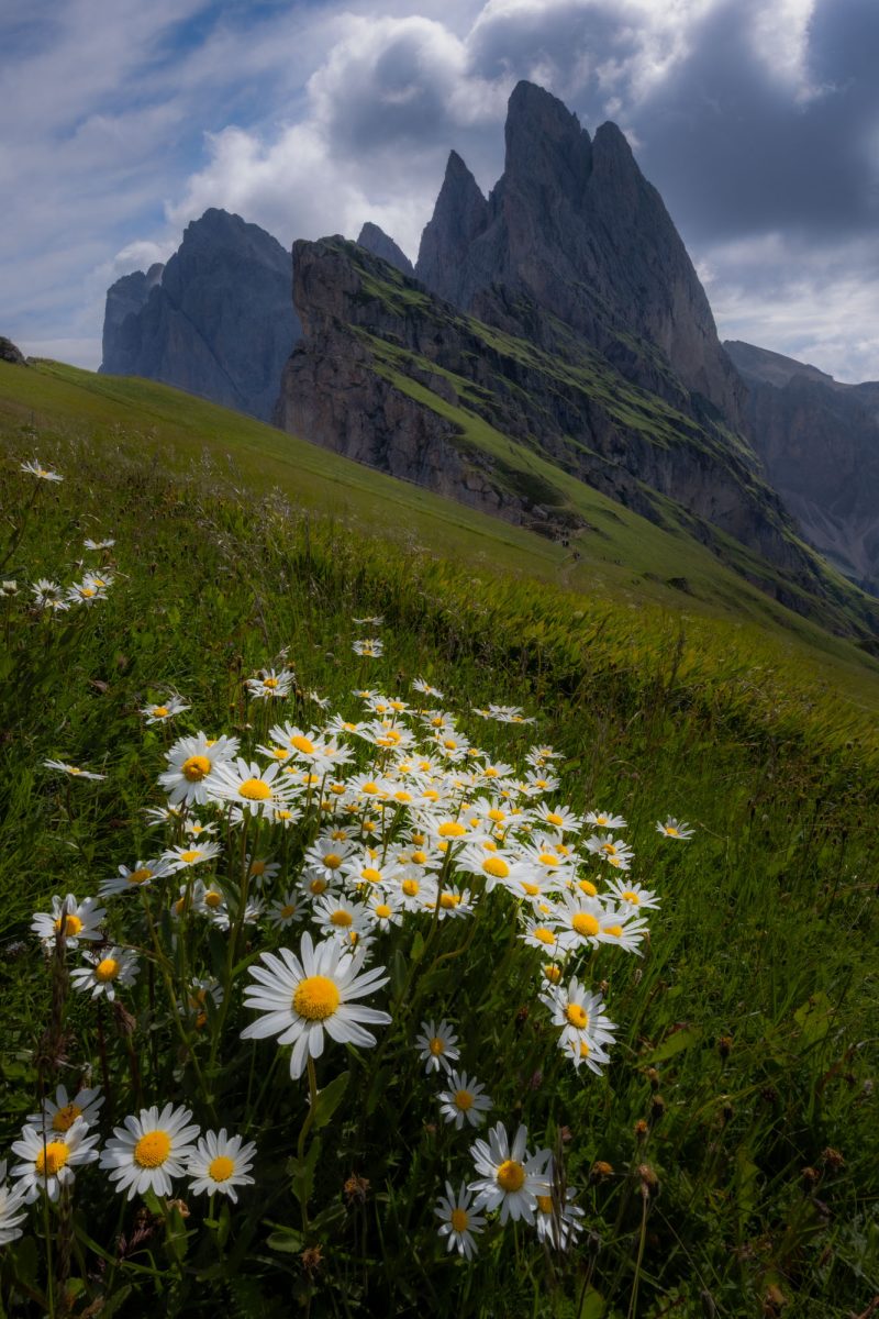 Seceda, Dolomites, Italy.
