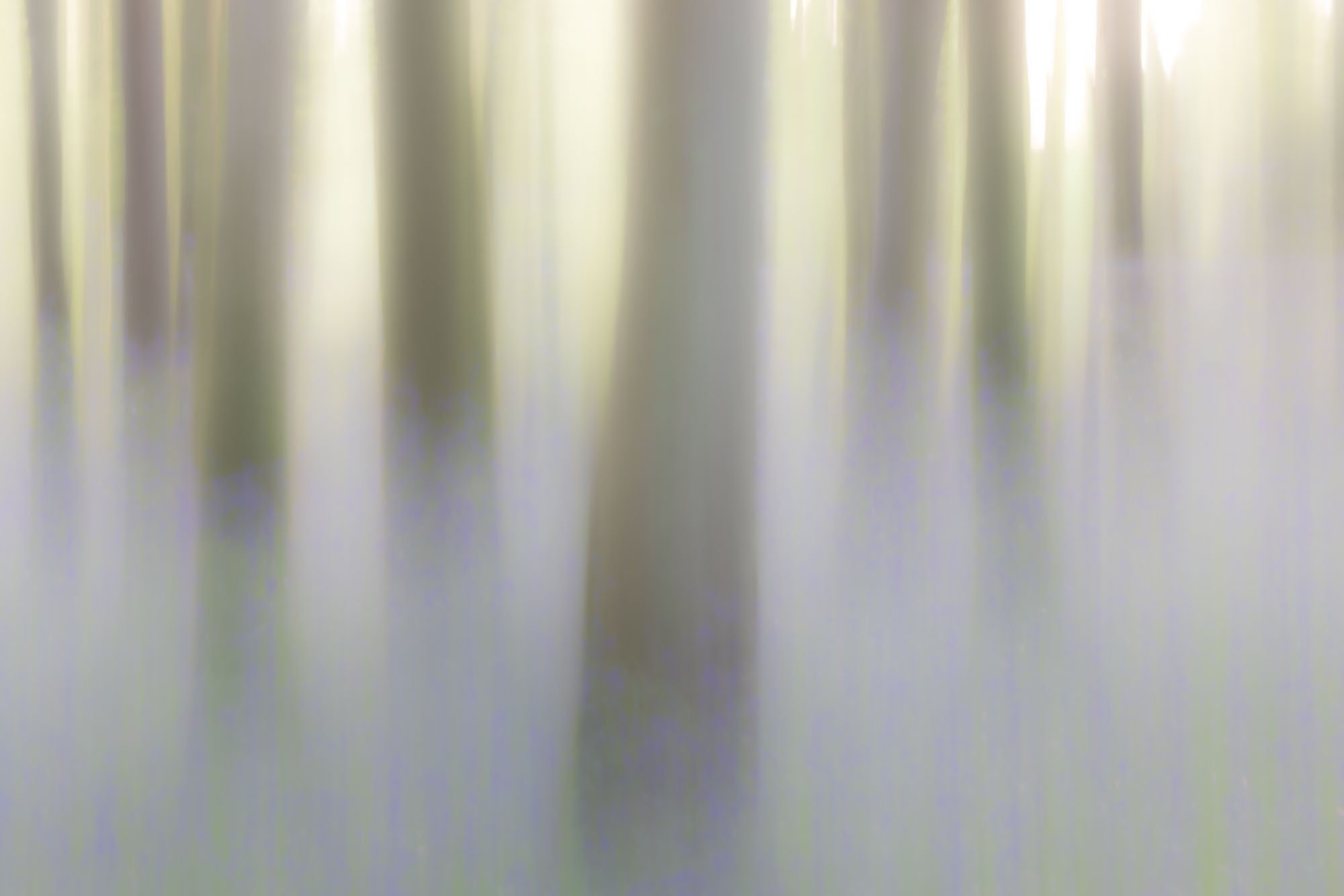 Bluebell abstract, County Roscommon, Ireland. Bluebell abstract, County Roscommon, Ireland.